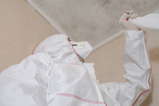 Best Crawl Space Mold Removal  in Houghton, MI